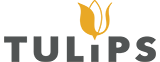 TULIPS LTD